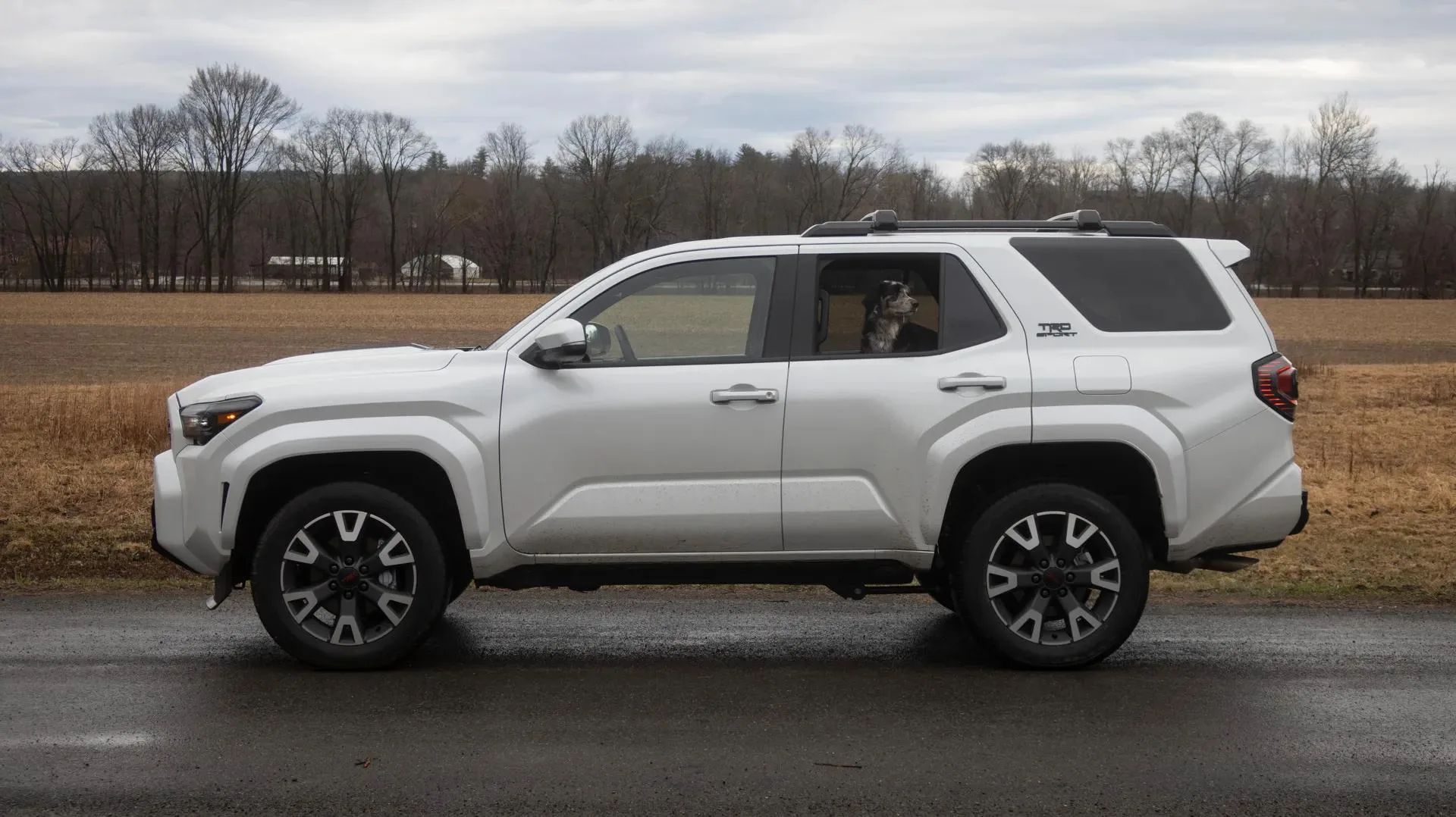 Toyota 4Runner — photo 3 of 5